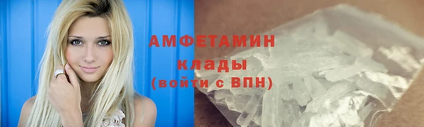 дмт Пересвет