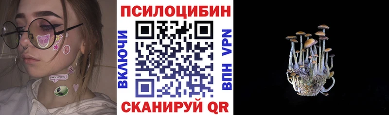 blacksprut как зайти Томмот Псилоцибиновые грибы Psilocybine cubensis