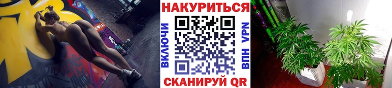 МАРИХУАНА SATIVA & INDICA  наркошоп  Томмот 